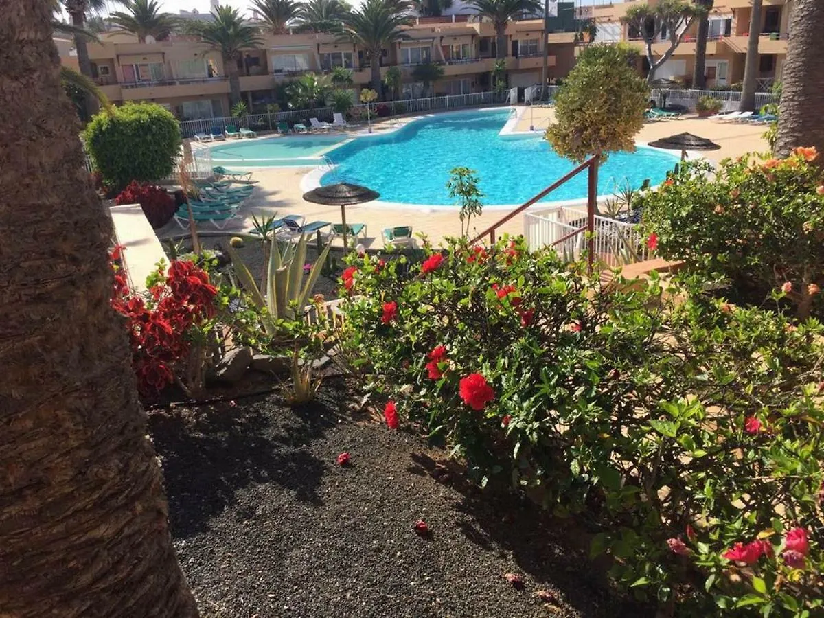 Sabrihome Corralejo Apartment
